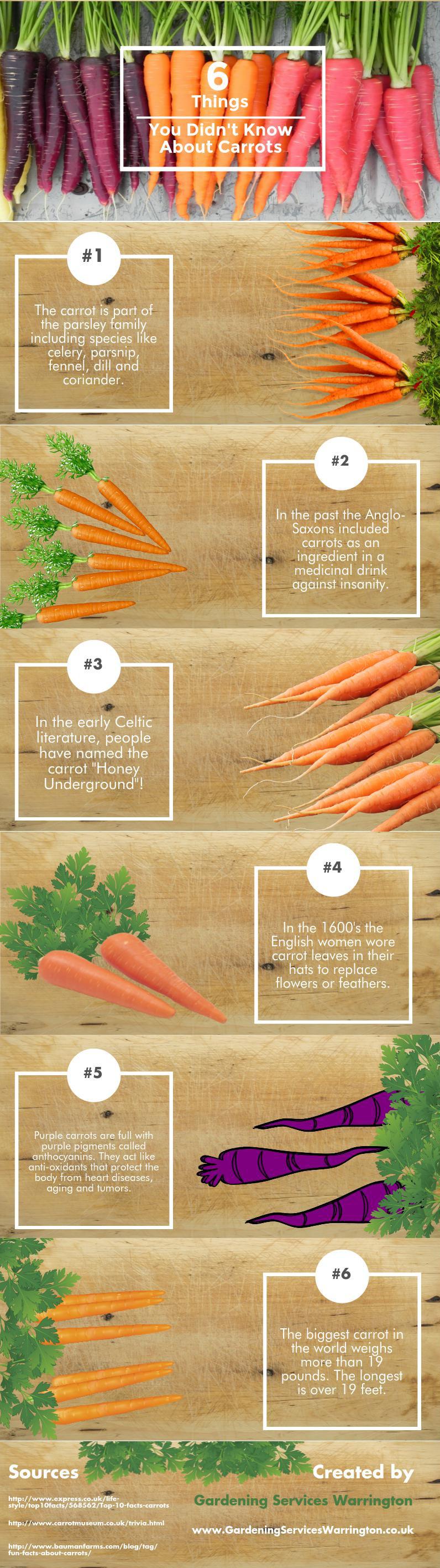  6 Things You Didn't Know About Carrots