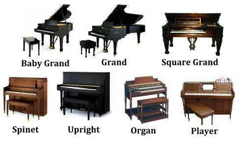 Grand Piano Relocation Services in Perth