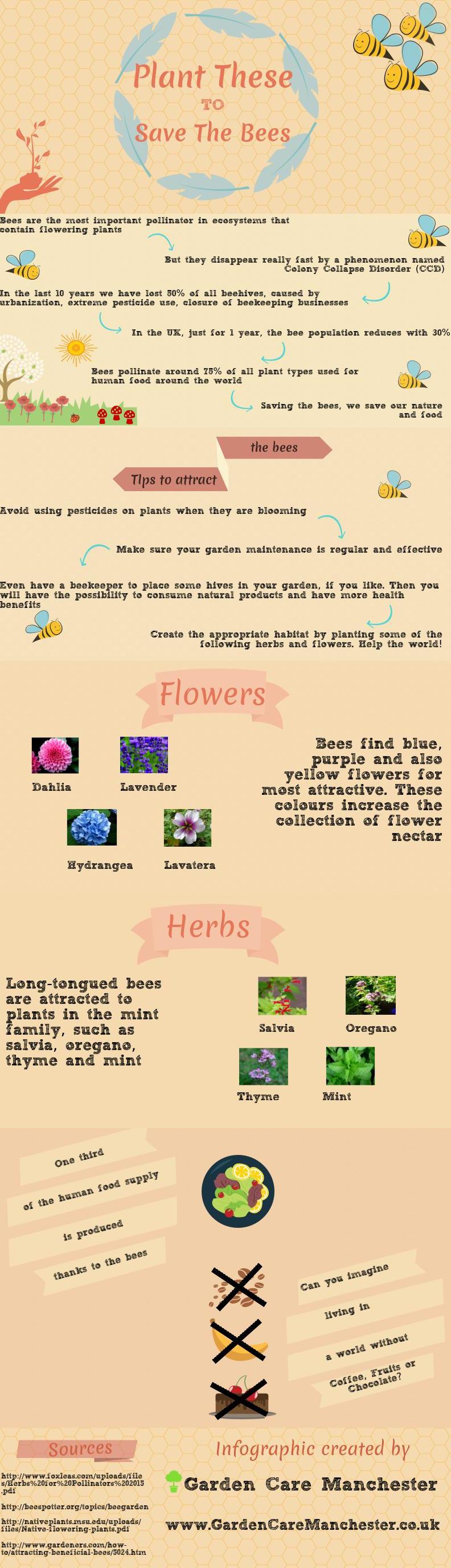 Plant These To Save The Bees