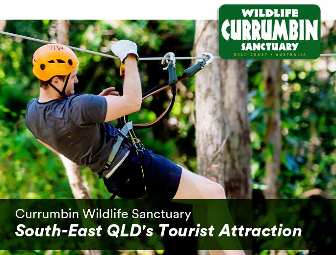 Currumbin Wildlife Sanctuary - South-East QLD's Tourist Attraction