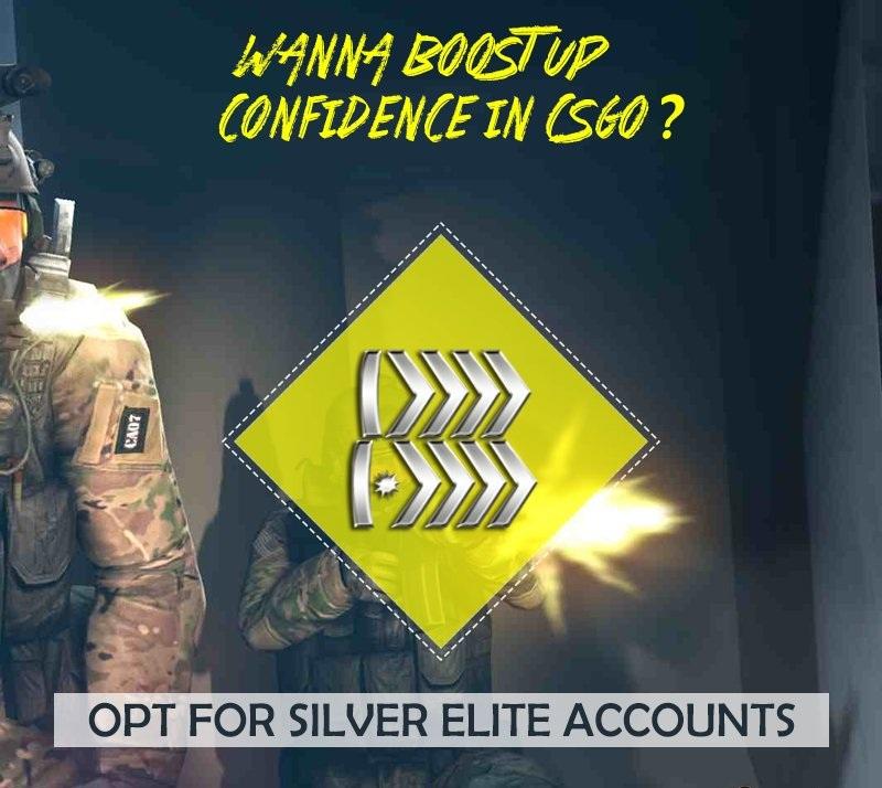 Wanna Boost Up Confidence in CSGO! Opt for Silver Elite Accounts