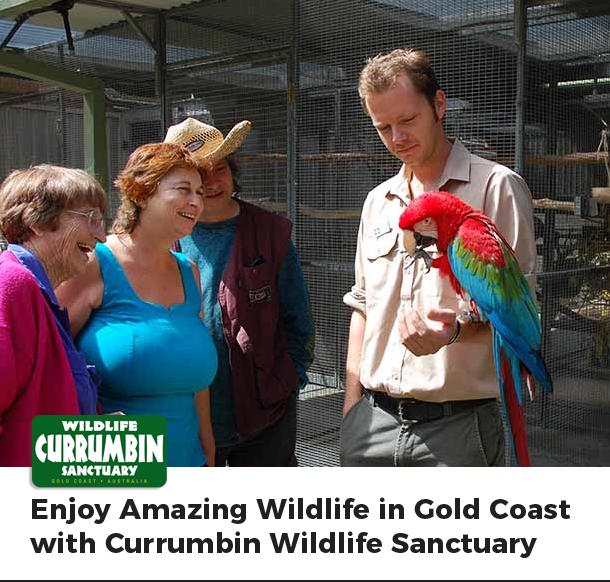 Enjoy Amazing Wildlife in Gold Coast with Currumbin Wildlife Sanctuary