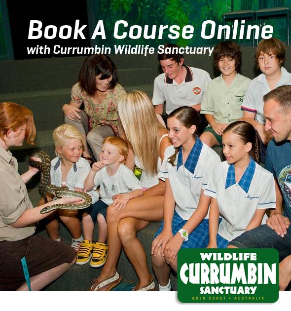 Book A Course Online with Currumbin Wildlife Sanctuary