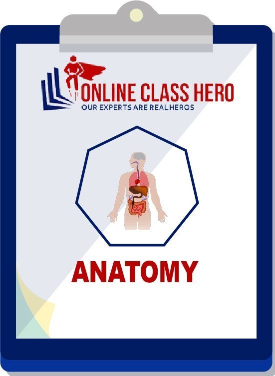 Take My Online Anatomy Class For Me