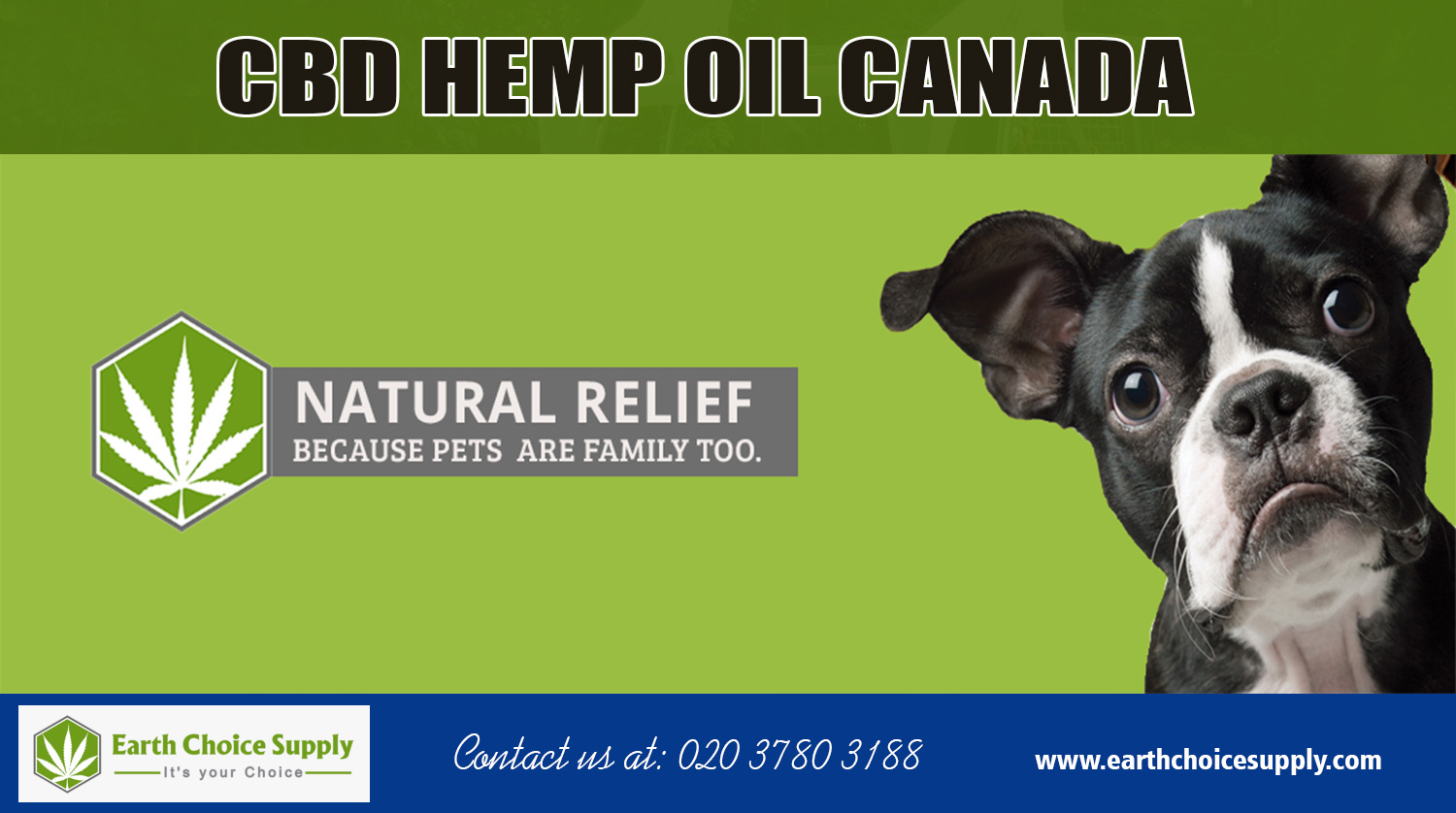 CBD Hemp oil Canada | Call Us - 416-922-7238 | earthchoicesupply.com