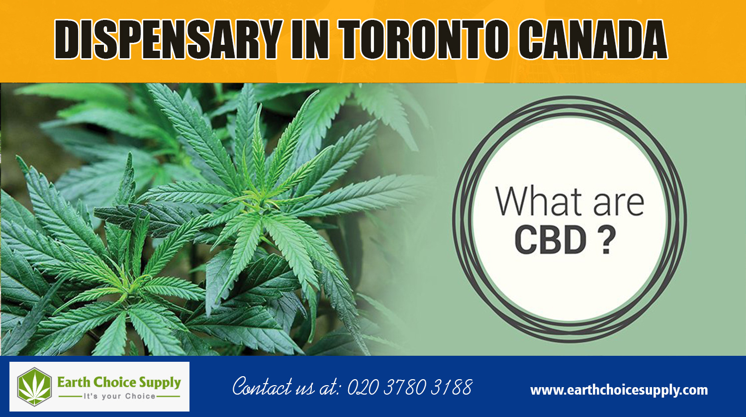 Dispensary in Toronto Canada | Call Us - 416-922-7238 | earthchoicesupply.com