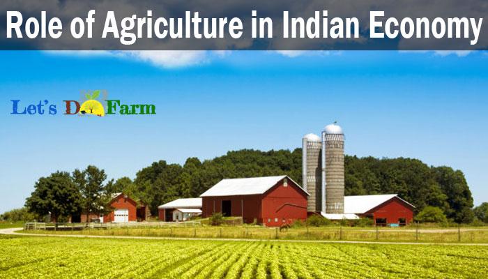 Role of Agriculture In Indian Economy