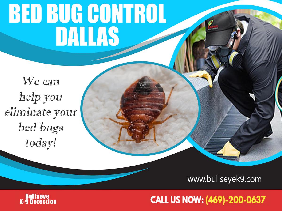 Bed Bug Control Dallas