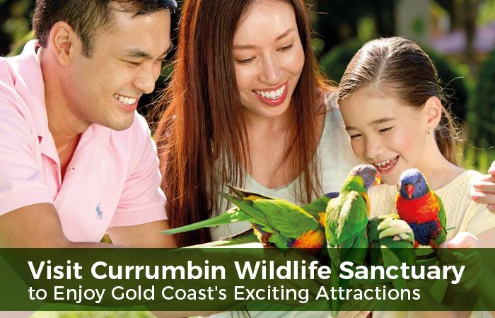 Visit Currumbin Wildlife Sanctuary to Enjoy Gold Coast's Exciting Attractions