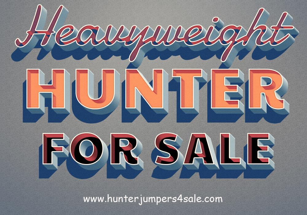 Hunters For Sale
