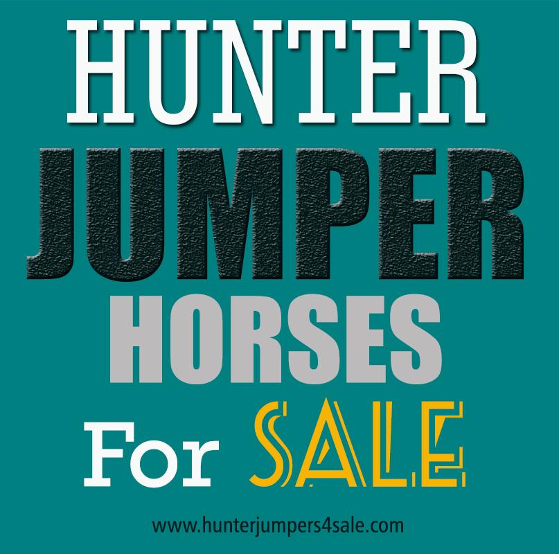 Hunter Jumpers For Sale