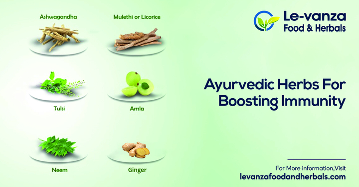 Ayurvedic Herbs for Immunity Boosting | Ayurvedic Medicine