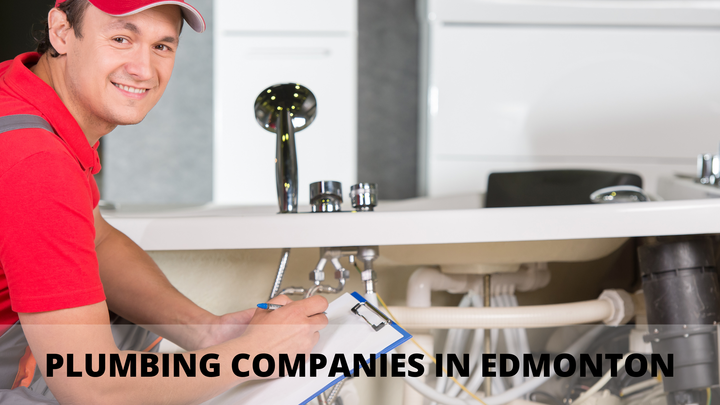 Benefits of Services Offered by The Plumbing Companies in Edmont