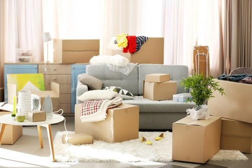 How do Professional Movers Help During a Move