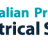 APES Professional Electrical Services