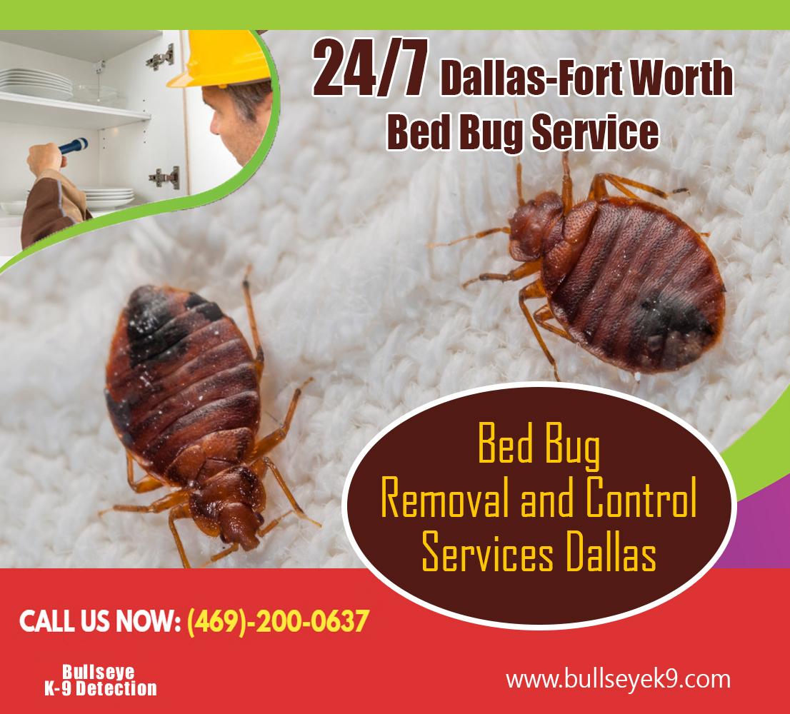 Bed bug removal and control services dallas