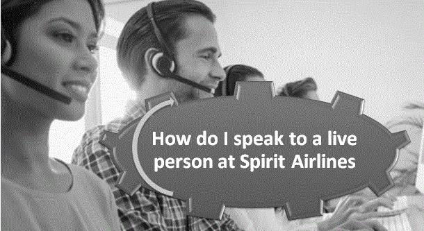 How Do I Speak To A Person At Spirit Airlines?