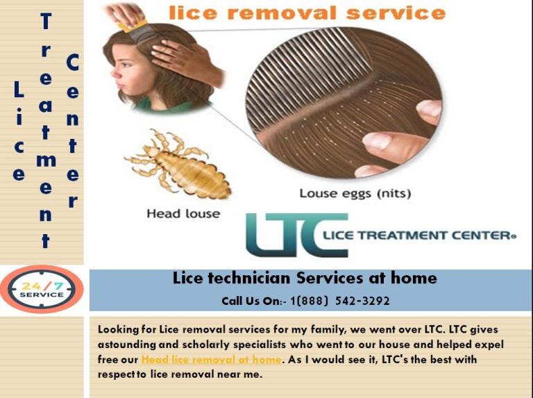 Looking For Lice treatment service In Home