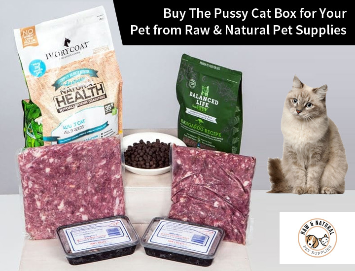 Buy The Pussy Cat Box for Your Pet from Raw & Natural Pet Supplies