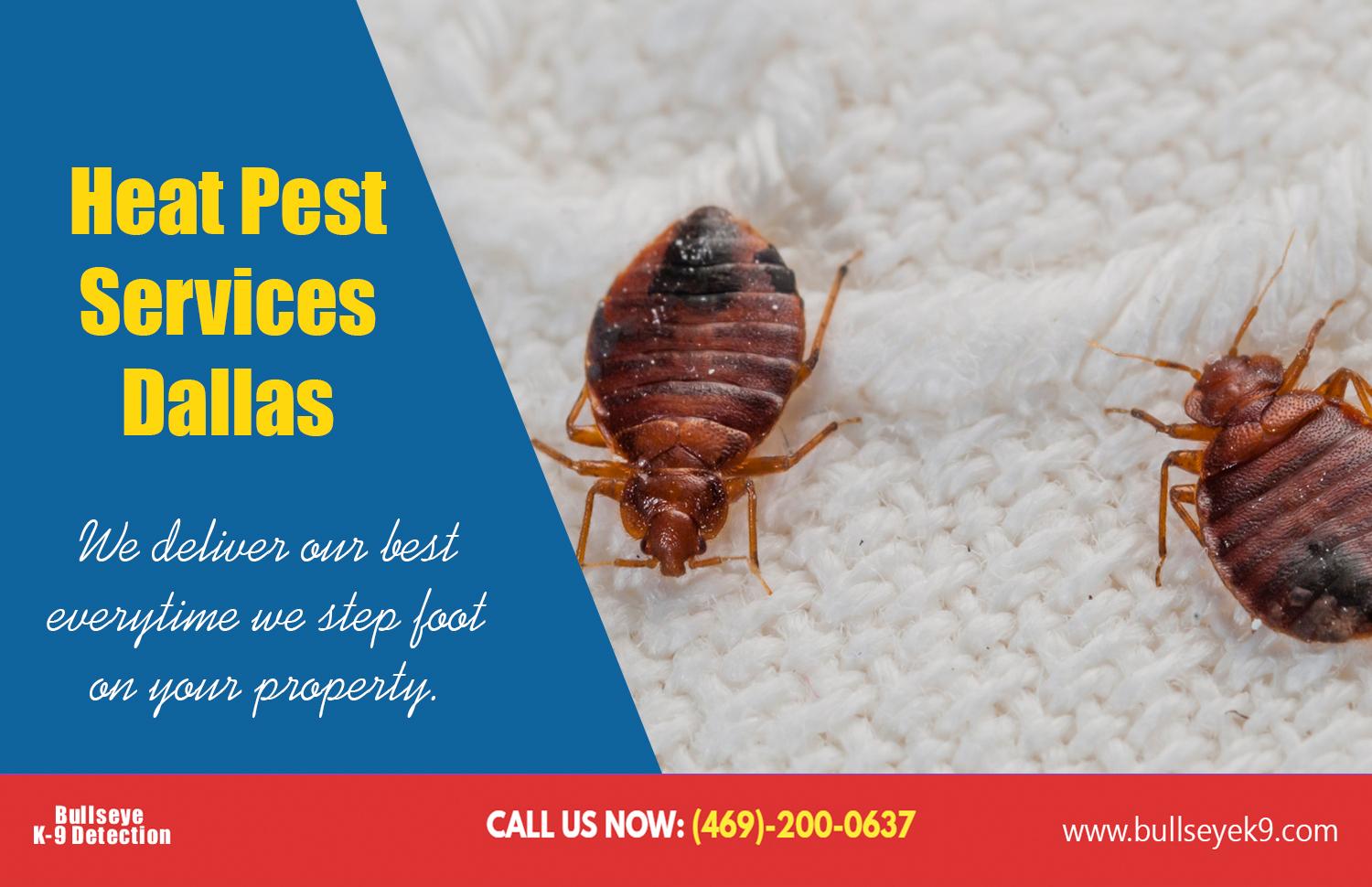 bed bug heat treatment cost