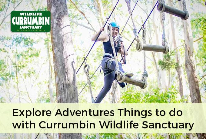 Explore Adventures Things to do with Currumbin Wildlife Sanctuary
