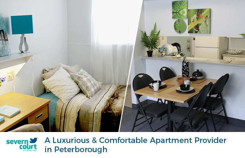 Severn Court Student Residence - A Luxurious & Comfortable Apartment Provider in Peterborough