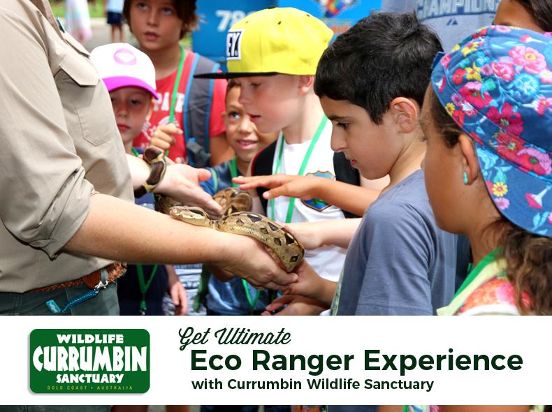 Get Ultimate Eco Ranger Experience with Currumbin Wildlife Sanctuary