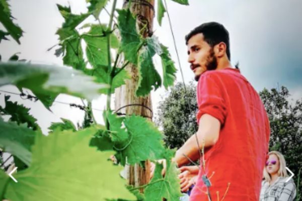 degustazione vini firenze