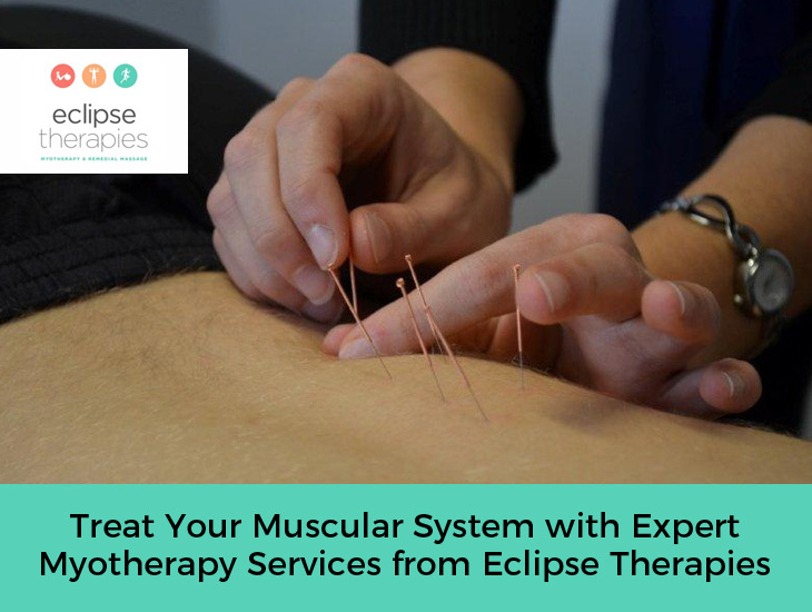 Treat Your Muscular System with Expert Myotherapy Services from Eclipse Therapies