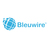 Bleuwire ITServices