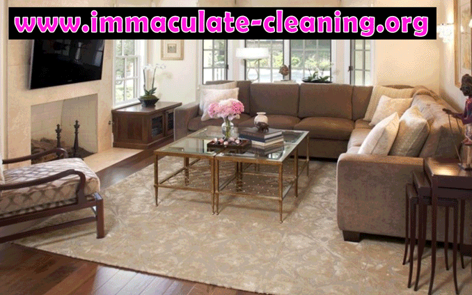 Professional cleaning in Santa Clara County