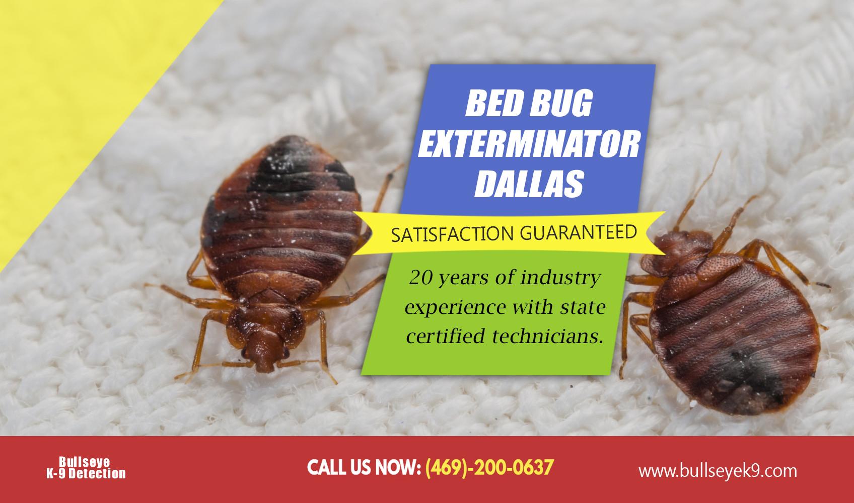 Bed Bug Exterminator Dallas