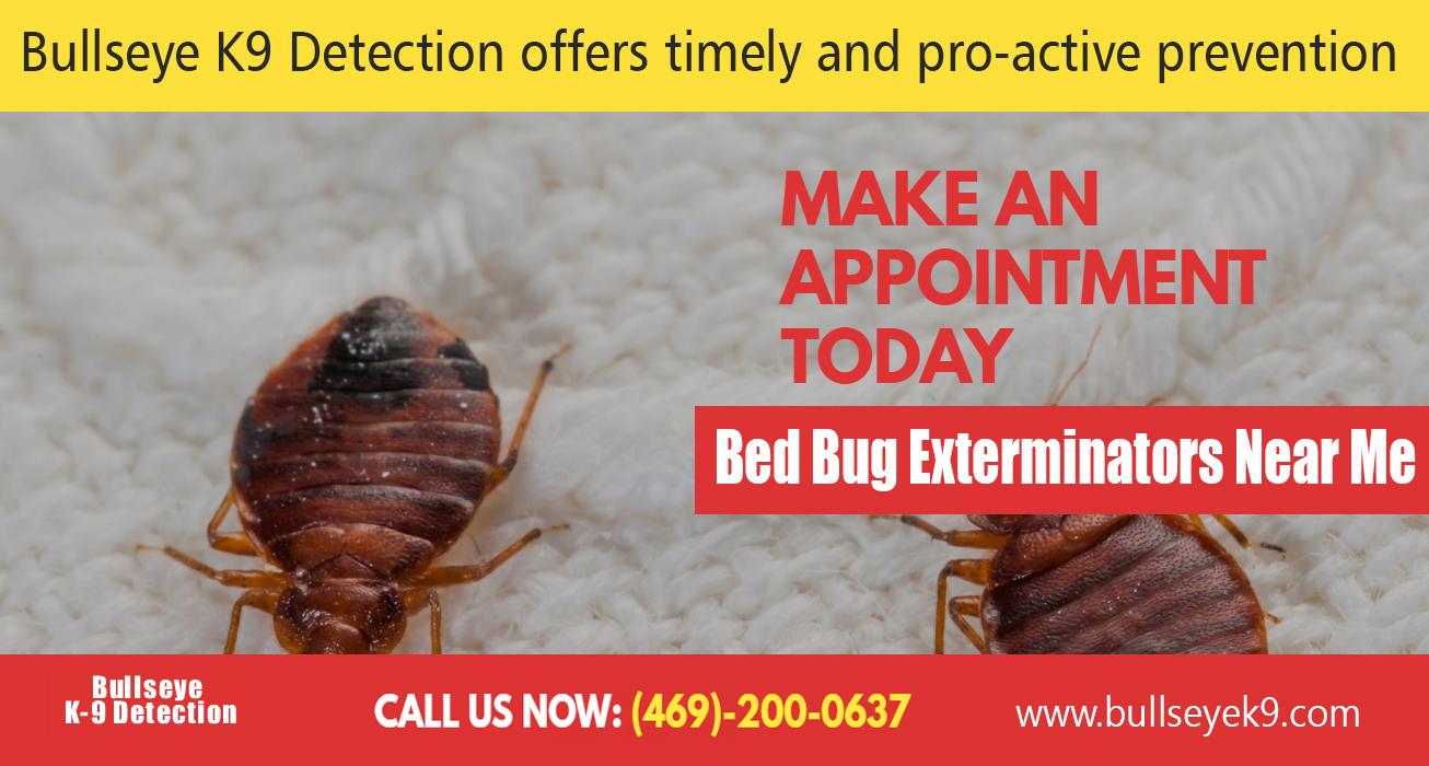 Bed Bug Exterminators near me