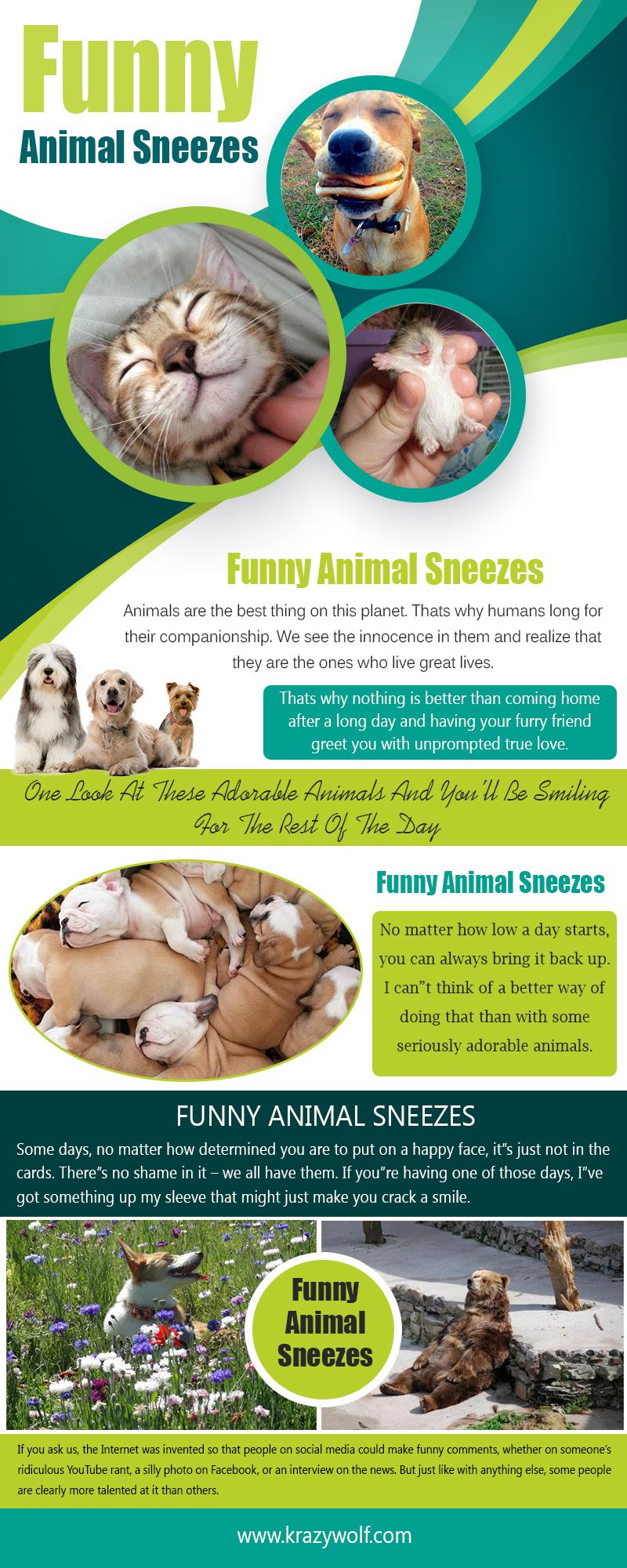funny animal sneezes