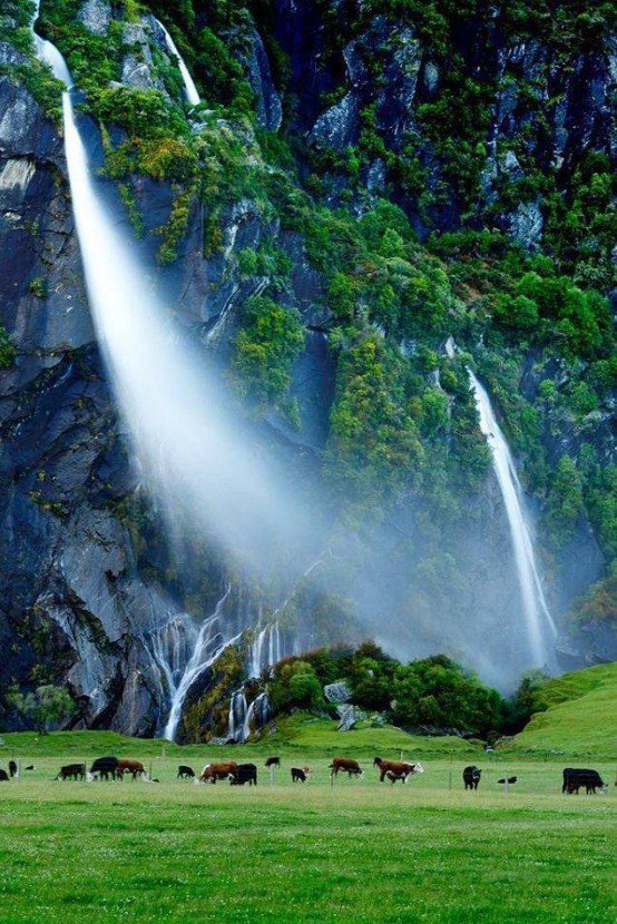 Amazing ! Waterfall Cliffs, New Zealand.