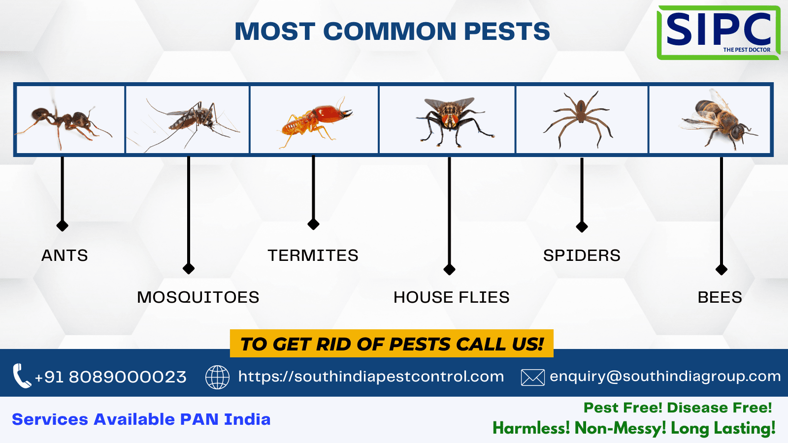 Best Pest Control Services in Mumbai