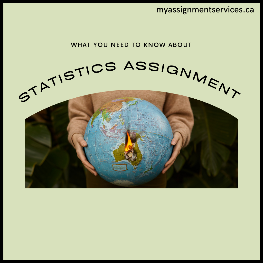 Statistics Assignment help and Its Importance.