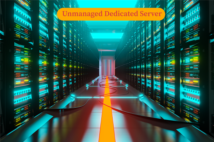 Unmanaged Dedicated Server Hosting In India | Buy Cheap Dedicated Server In 2022