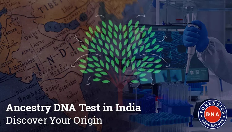 Ancestry DNA Test in India Discover Your Origin