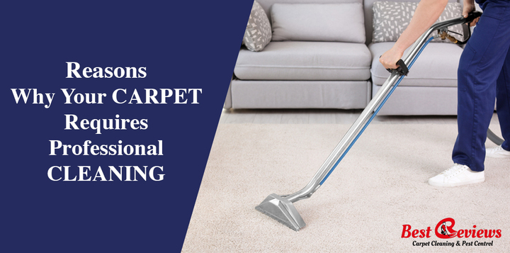 Reasons why your Carpets Require Professonal Cleaning - Best Rev