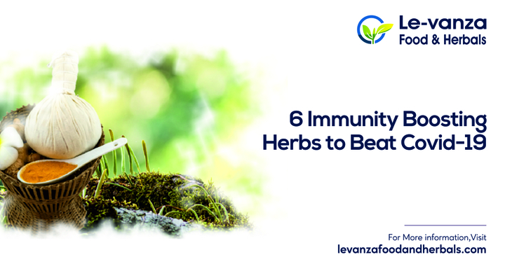 6 Immunity Boosting Herbs to Beat Covid-19 | Immunity Booster He