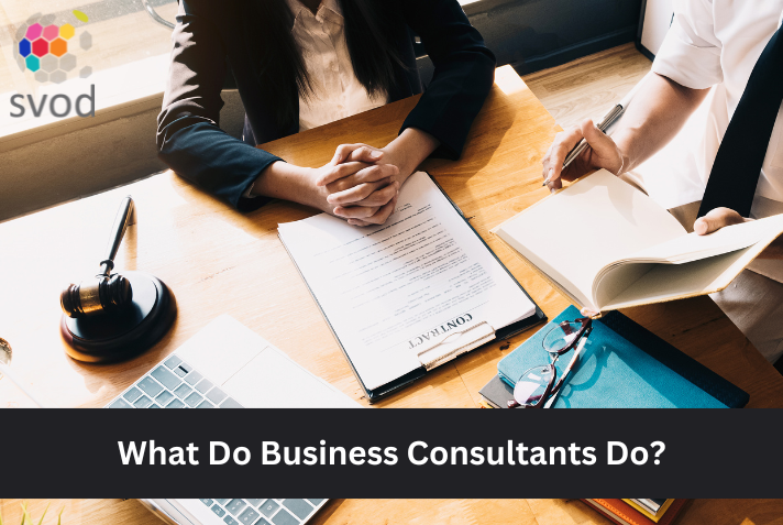What do Business Consultants do?. Small Businesses frequently hi