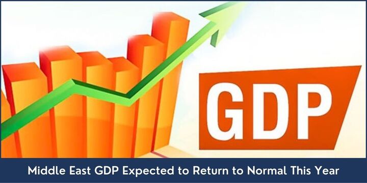 Middle East GDP Expected to Return to Normal This Year - Riz &amp; M