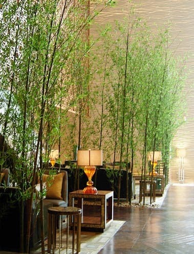 Large/Tall Artificial Bamboo Trees Plant For Sale, Wholesale Man