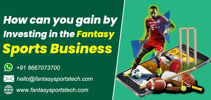 How can you gain by investing in the Fantasy Sports App Business