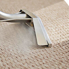Affordable Carpet Cleaning Brisbane, Professional Carpet Cleaner