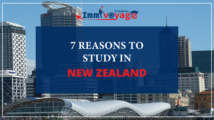 7 Reasons to Study in New Zealand   - Immivoyage Consultants