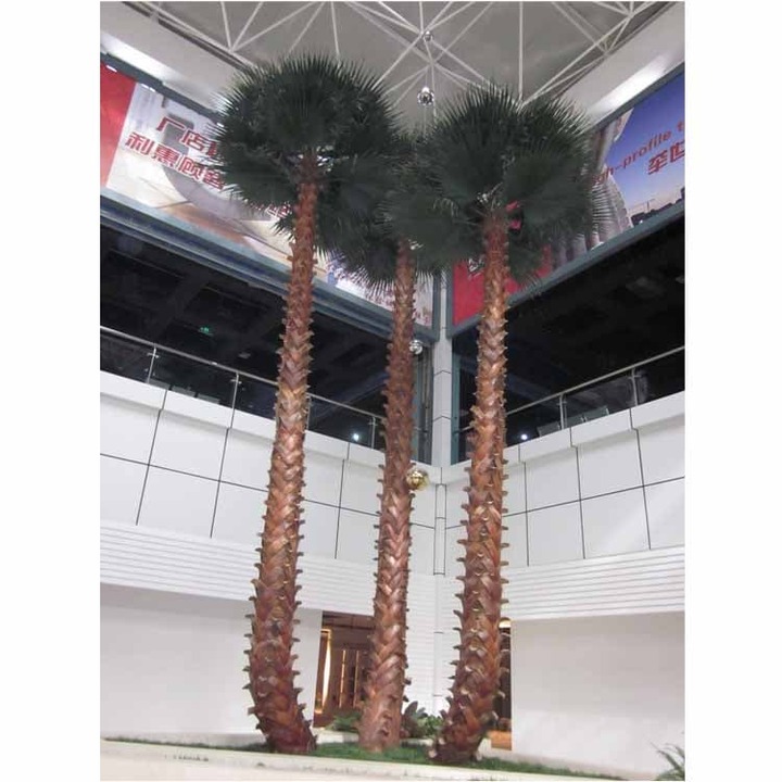 Preserved Palm Trees For Sale, Preserved Washignton Palm