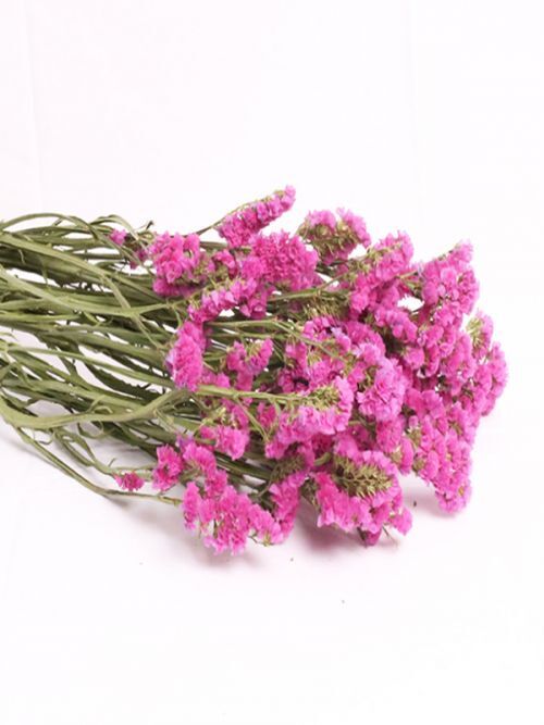 Buy Dried Flowers Online In India | Home Decor | Whispering Home