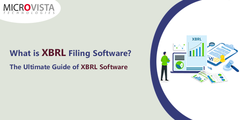 What is XBRL Filing Software? The Ultimate Guide of XBRL Softwar